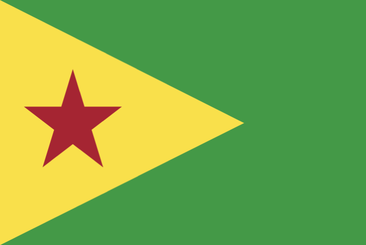 File:圭亚那人民共和国国旗.png