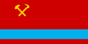 MEJ flag in celebrations.png